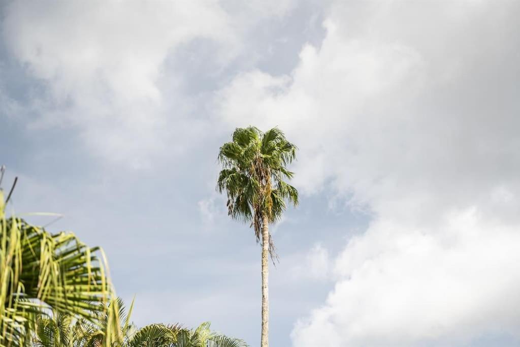 Aparthotel Bay Breeze South Bradenton Exteriér fotografie